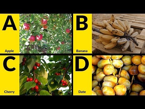 ABC Fruits for Children - Learn Alphabet with Fruits for Toddlers & Kids