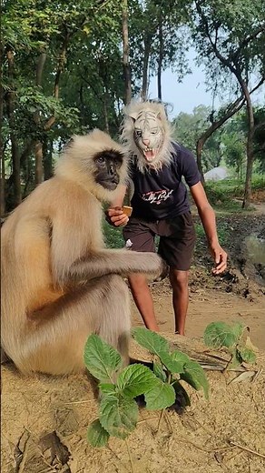 Monkey Meets Fake Lion Mask 🦁🐒 | Funny Comedy Shorts