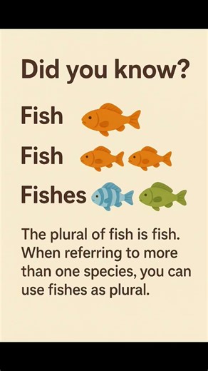 Did You Know? 🐟 | Fish vs Fishes Explained | Learn English daily