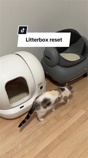 Efficient Litter Box Reset for Multiple Cats