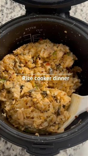 Easy Rice Cooker Recipe