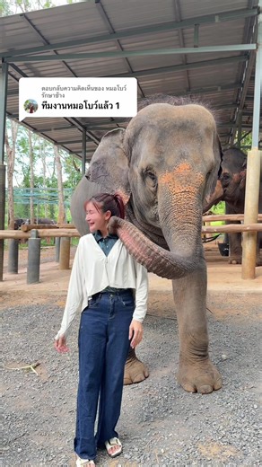 ตอบกลับ @หมอโบว์ รักษาช้าง EP.2 ทีมงานหมอโบว์ ไปช่วยหรือไปเป็นภาระกันละเนี่ย555 ขอบคุณหมอโบว์และทีมงานมากๆนะคะที่ต้อนรับเป็นอย่างดี ขอให้หมอและทีมงานมีสุขภาพแข็งแรง อยู่ดูแลช้างไทยไปนานๆเลยค่ะ ไว้มีโอกาสจะไปช่วยอีกนะคะ #clearnose