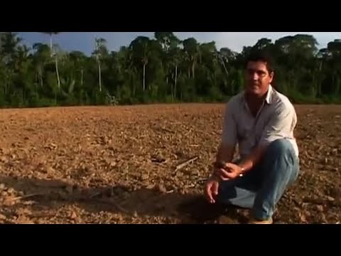 Environment vs Development | Amazon: Truth and Myth | BBC Earth