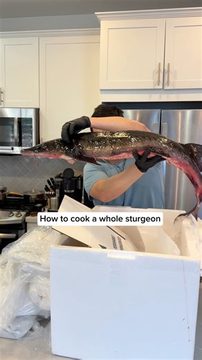 How to cook a whole sturgeon with the help of Mark Caviarman. This was pretty cool and tasted good. | POV Husband