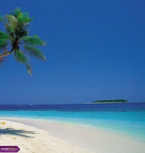 North Goa district - Alchetron, The Free Social Encyclopedia