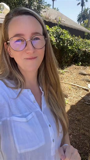 11K views · 456 reactions | Click our link in bio and use code HISTORY10OFF at checkout! #gardening #gardenproject #gardendiy #landguard #planter Guard Gardening | Living in History | Facebook