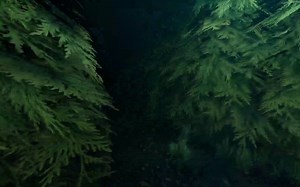 Labyrinthe Episode 1