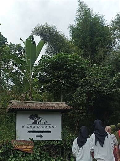 Tradisi Ngangsor Gegadang sebagai ungkapan rasa syukur atas hasil panen, diadakan sekali dalam setahun di Desa Tetebatu Lombok Timur #fyppppppppppppppppppppppp #adatsasak #sekolahalam #tradisilombok #tetebatu #reels #viraltiktok