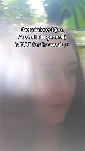 Surviving the Australian Rainforest: A Personal Tale