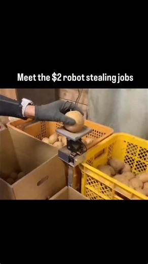 Quantum Emerges | Science & Tech on Instagram: "Mr. Shiozawa, a local farmer and hardware maker, won the Saitama New Business Award for a compact sorting machine he designed himself. The machine is already being used by local farmers and helps sort produce faster and more efficiently. Known for building his own drones and tools, this practical invention focuses on real farm needs rather than complex tech."