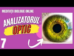 BACALAUREAT 2022: ANALIZATORUL VIZUAL - Doza de Biologie