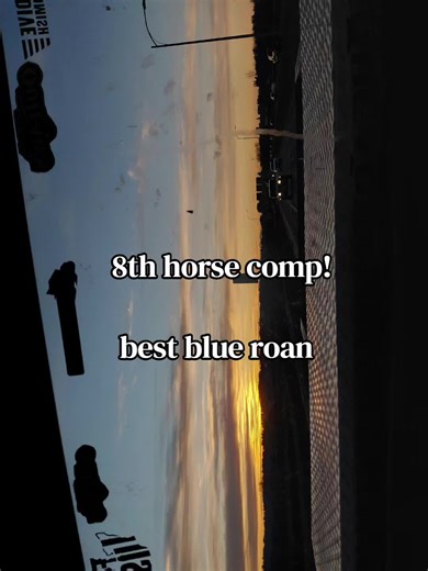 Best Blue Roan Horses at Competitions