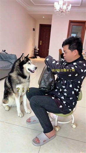 Dog: It's a perfect for me mommy and thanks for delicious food, This dog is really genius cute pet