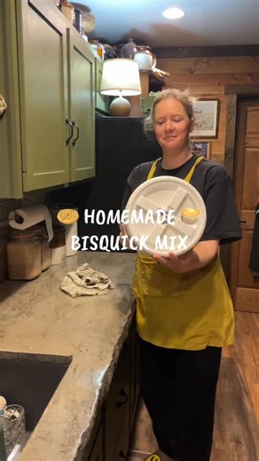 Sara on Instagram: "Homemade Bisquick Mix 🧇🥞 the base is: 8c flour, 6T baking powder, 2 T baking soda, 1.5 T salt, 1/2c sugar. . For pancakes add: 1c mix, 1c milk, 1egg, 2T butter or oil (and usually a bit of vanilla) . For waffles add: 1c mix, 3/4c milk, 1egg, 1T butter or oil (and usually a bit of vanilla/almond extract) . I have used it for actual biscuits before but tbh I would rather make butter swim or roll out biscuits with lard so I prefer to just use it for pancakes & waffles. Enjoy! 