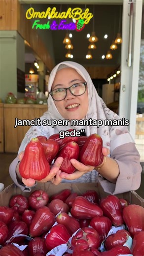 jamcitnya mantap gede” manis 45/kg 85/2kg konyal 45/kg 85/2kg semangka 20/kg binjai 33/kg 60/2kg udh di icip sm mince yg lg ga puasa semuanya manis” aplg si binjainya mantap pisan kuy borong ah 🍑🍑🍑🍑🍑🍑🍑🍑🍑🍑🍑🍑🍑🍑🍑🍑🍑 Jl. Terusan Jakarta No 325, Bandung freeongkir antapani dsk minor 150rb (radius 5Km) Toko Buka dr jam 8 pagi - 8.30 malam order malam via dm dan wa khusus malam 62 859-5986-0730 siang: 087759375848 085923158800 085251923523 082119602269 komplen hanya bs sameday disertai 