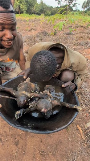 Tribe Mukbang on Instagram: "🐾 “Primitive hunting: five monkeys, one successful day.”"