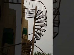 Kitten Fall Down From Stairs But Survived