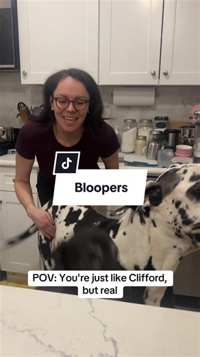 Filming Fun with Three Dogs: Behind the Scenes