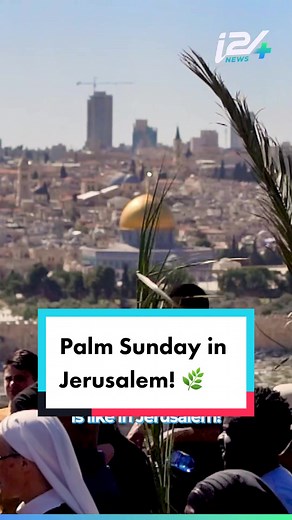It’s Palm Sunday in Jerusalem! 🌿 Thousands of Christians from around the world are gathering in Jerusalem now to honor the holy day. This is a special time for Christians, as it marks Jesus’ entry into Jerusalem before his crucifixion. The traditional Palm Procession is one of the most attended events of the liturgical year in the Holy Land, with thousands of people marching through the streets waving palm branches and singing hymns. #jerusalem #palmsunday #holyweek #christian #holyland