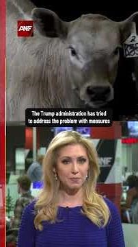 Are You Having Steak Sticker Shock? This Is Why Beef Prices Are Soaring!