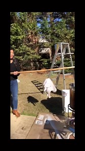 8.9M views · 57K reactions | Thanksgiving classic 旅 | allfails | Facebook