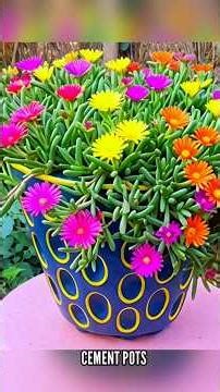 How to make cement pots / Diy cement planter