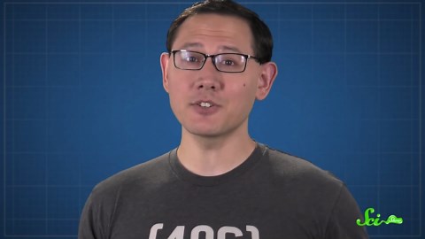 Quarks: The miracle that saved particle physics