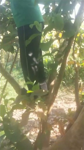 12 માર્ચ, 2026