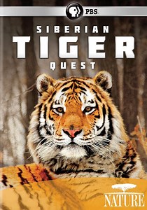 Siberian Tiger Quest streaming: where to watch online?
