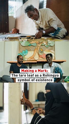 41K views · 4.5K reactions | “We are like water on a taro leaf—floating, belonging nowhere.” Rohingya communities and artists launch the taro leaf  as a global symbol of resilience and identity. Stand in solidarity—share this video. Read more: https://tinyurl.com/3vreczvr #ExistenceAndSurvival #IStandWithRohingya #Rohingya #Taroleaf | Doctors Without Borders / Médecins Sans Frontières (MSF) | Facebook