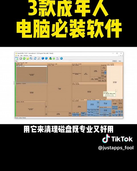 3款成年人电脑必装软件，每一款都是极品 #软件 #电脑装机 #电脑软件 #实用工具 #IDM #everything #spacesniffer #装机 #神器 #宝藏