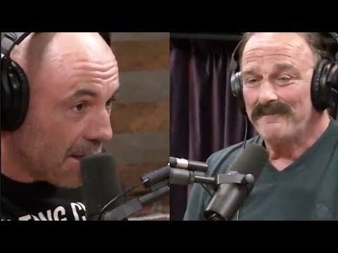 Joe Rogan - Jake "The Snake" Roberts on his Recovery