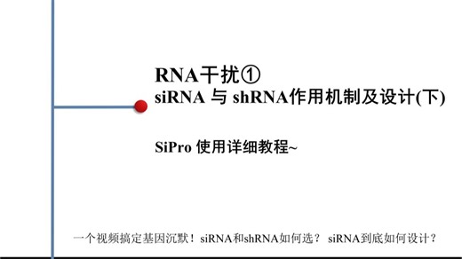 RNA干扰①——siRNA与shRNA作用机制及设计(下)