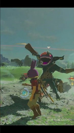 Take down the Bokoblin gang?.. The legend of Zelda: Breath of the Wild