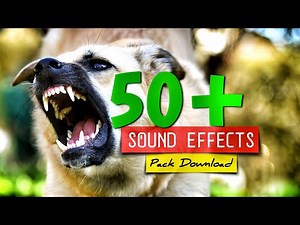 Dog Sound Effects [ Pack Download ]🤑