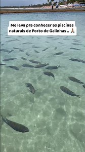 Amazing natural pools of Porto de Galinhas