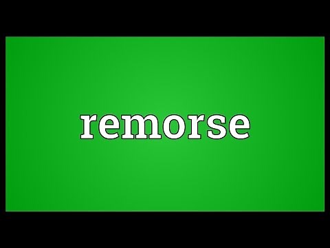 Remorse Meaning