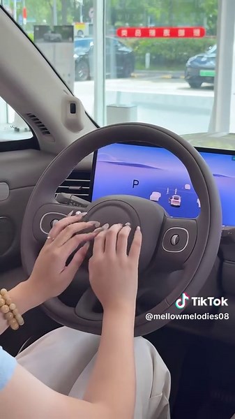 Exploring the Future of Chinese Electric Cars