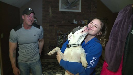 88K views · 3.1K reactions | PIT BULL HERO!  When Peanut the pit...