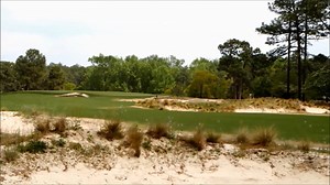 1.5K views · 64 reactions | Pinehurst No. 2, in Spring: | Pinehurst Resort | Facebook