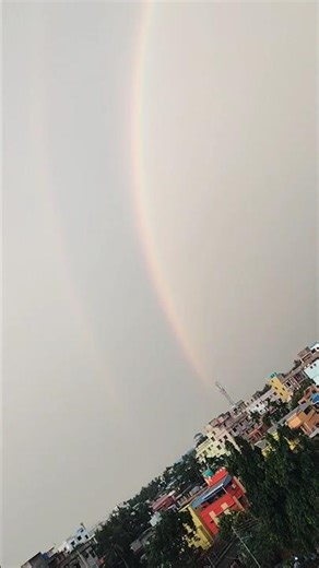 Refraction of light #science #experiements #physics #shorts