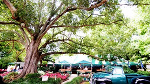 Coushatta farmer transforms small pea patch into picturesque produce shop