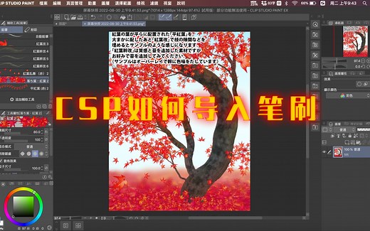 CSP如何导入笔刷 优动漫clip studio paint导入笔刷教程