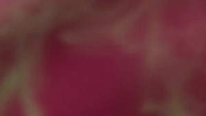 Karaoke Heart of Stone - Six (musical) - CDG, MP4, KFN - Karaoke Version