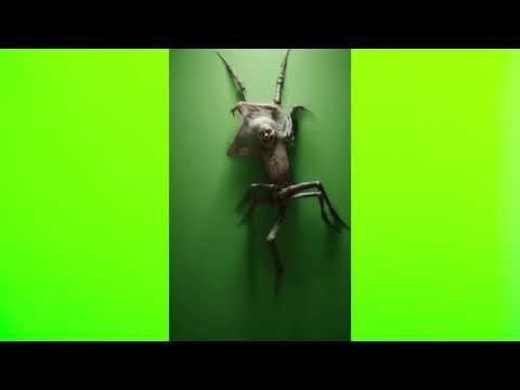 Free Spooky Green Screen Pack- 100% Free