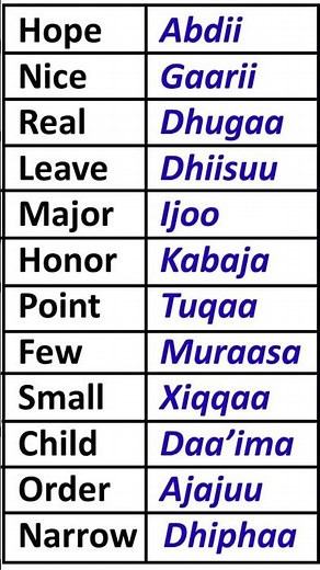 English Vocabulary in Afaan Oromo #EnglishVocabulary #AfaanOromo Learn English in Afaan Oromoo