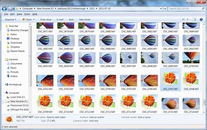 Canon T3i Software For Mac
