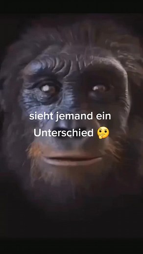 germany ✝️ on TikTok