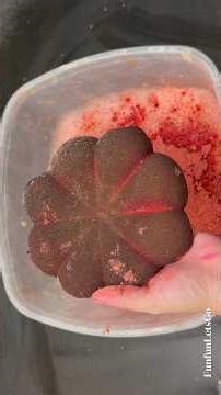 Super Red Reform #ruby #red #bubbly #water