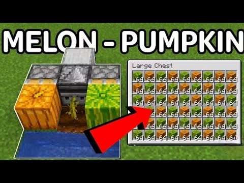 Minecraft pumkin and melon Farm java